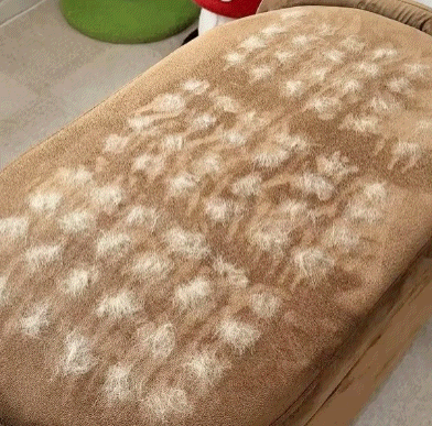 Vita CleanPaw™
