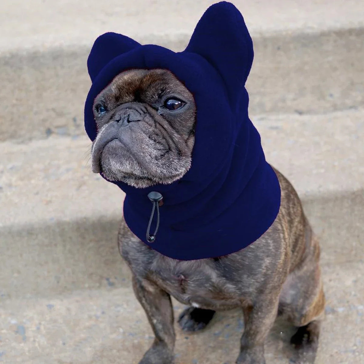 VitaCare™ BatPaws Cozy Fleece Dog Winter Hat