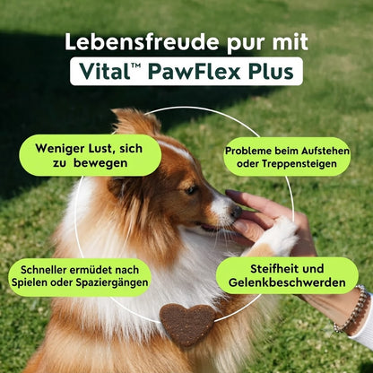 Vital™ PawFlex Plus
