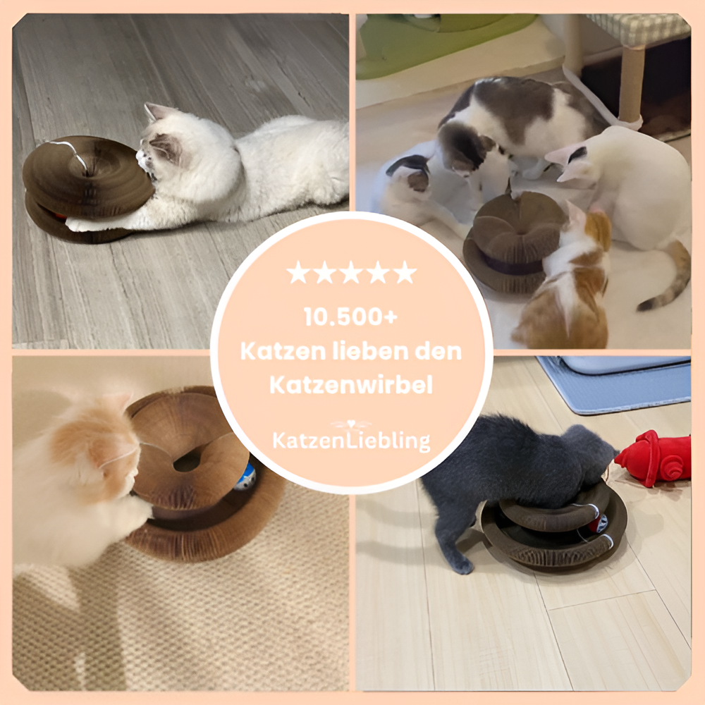 Vita Katzenwirbel™