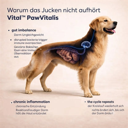 Vital™ PawVitalis