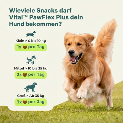 Vital™ PawFlex Plus