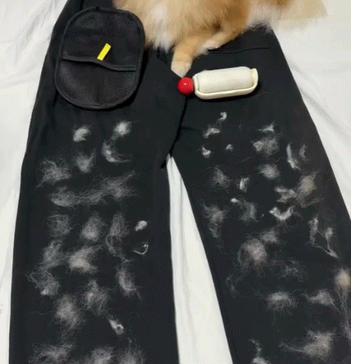 Vita CleanPaw™
