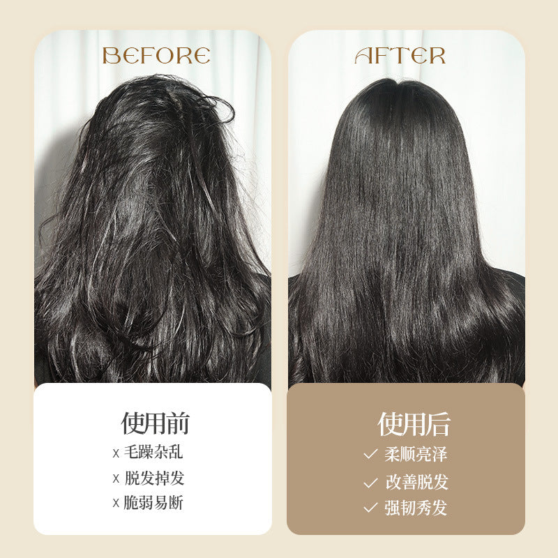 Natural and Authentic Boar Bristle Air Cushion Comb Air Bag Massage Comb Scalp Meridian Fluffy Bamboo Comb Beech Wood Comb Wholesale – Ansicht 3