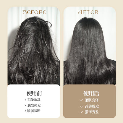 Natural and Authentic Boar Bristle Air Cushion Comb Air Bag Massage Comb Scalp Meridian Fluffy Bamboo Comb Beech Wood Comb Wholesale – Ansicht 3