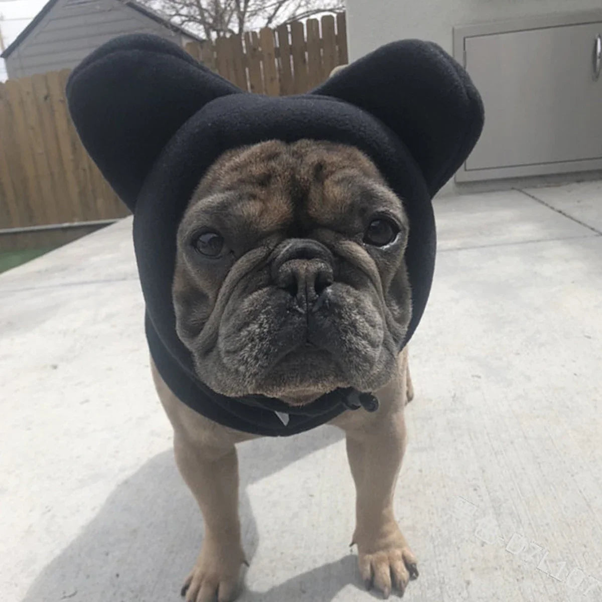 VitaCare™ BatPaws Cozy Fleece Dog Winter Hat