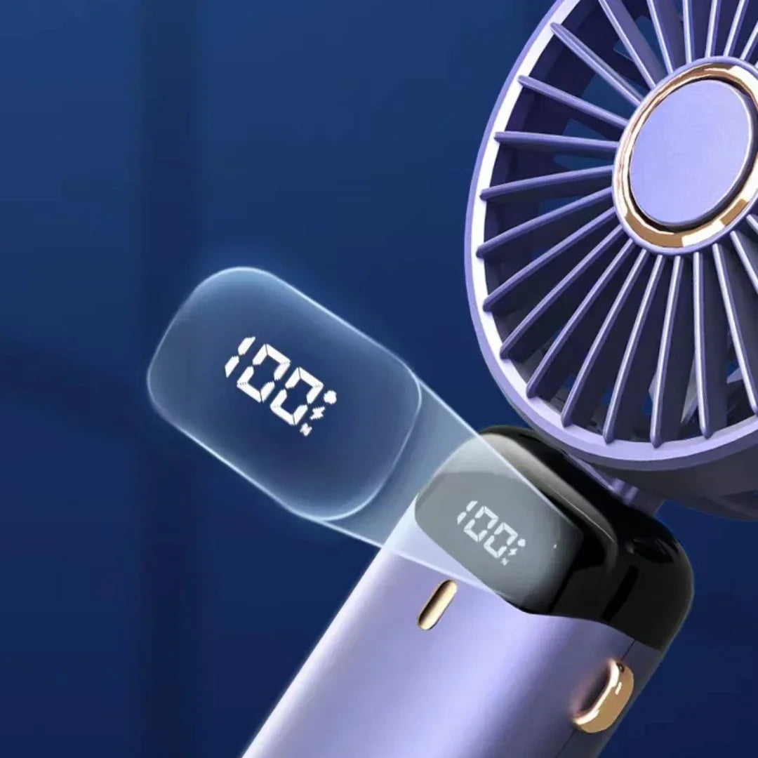 Vita Portable LED Digital Display