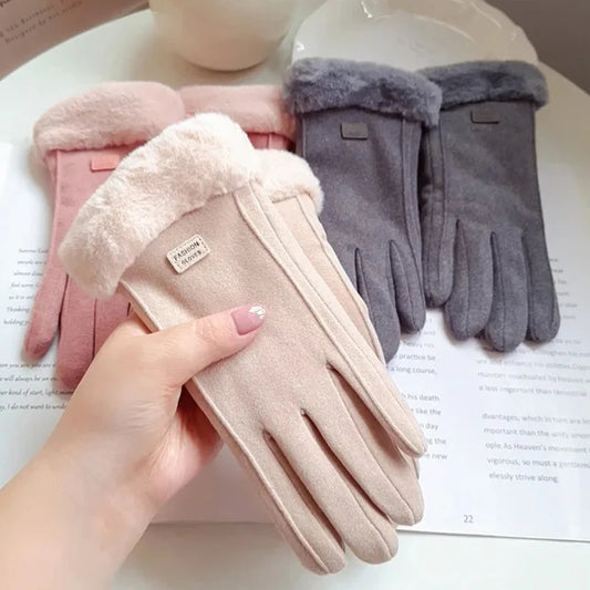 Winterhandschuhe elektrisch