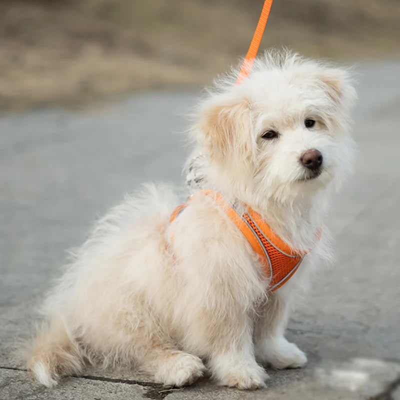 Pets Breathable Dog Vest Pectoral Girdle Backstraps Prevent Breakout Exclusive for Outdoor Use Adjustable Night Reflection – Ansicht 3