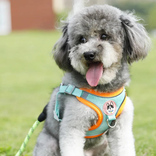 Hundegeschirr verstellbar