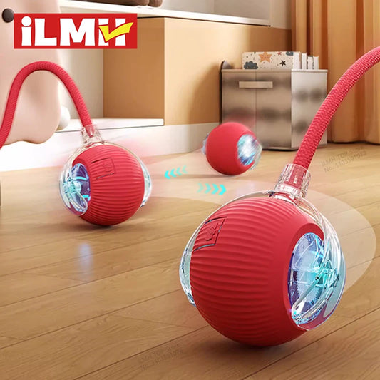 The Magic Roll Smart Cat Ball