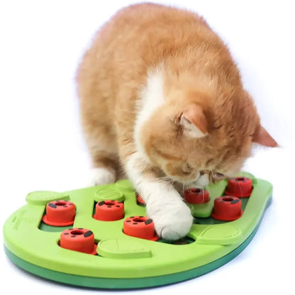 Katzenspielzeug mit Leckerli-Puzzle – Ansicht 4