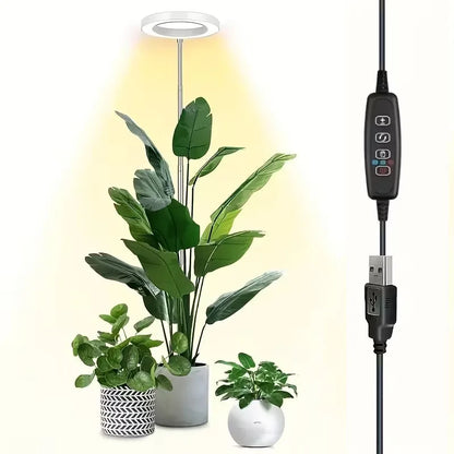 Pflanzenlampe LED-Ring höhenverstellbar bis 160 cm – Ansicht 6