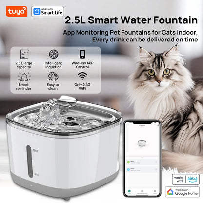 Trinkbrunnen für Haustiere 84 oz, Cat Water Fountain, APP Control