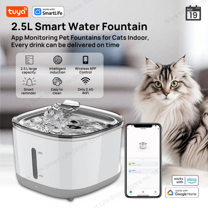 Trinkbrunnen für Haustiere 84 oz