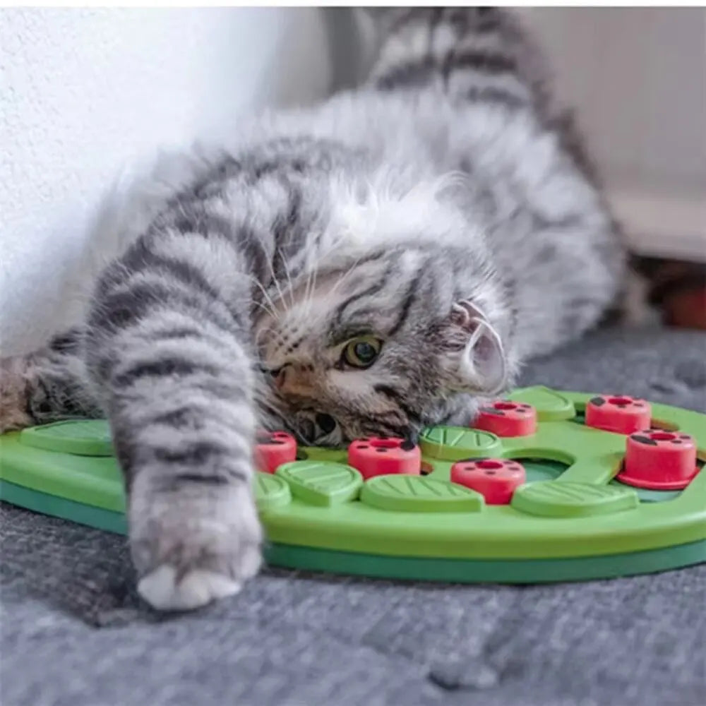 Katzenspielzeug mit Leckerli-Puzzle – Ansicht 3