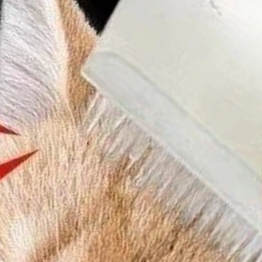 Vita PurrfectTouch Pet Grooming & Hair Remover Brush