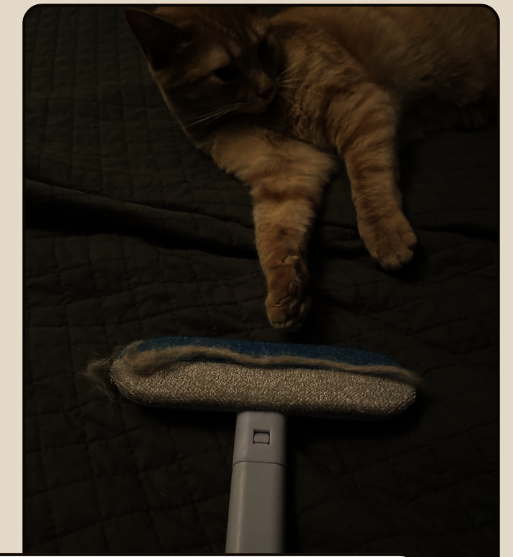 Vita FurSwipe™