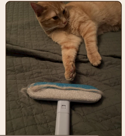 Vita FurSwipe™