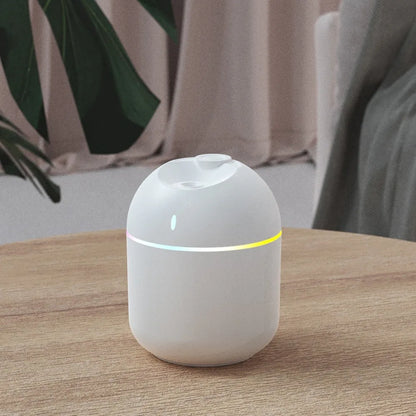 Vital™ AquaMist 270ml Cool Mist Humidifier & Aroma Diffuser