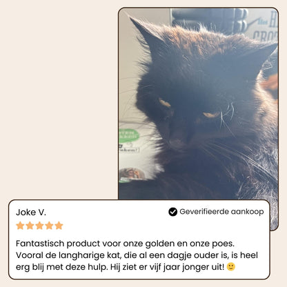 Vita FurSpa™ – Sanfte Fellpflege für glückliche Vierbeiner