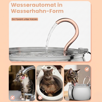 Vital Katzentrinkbrunnen