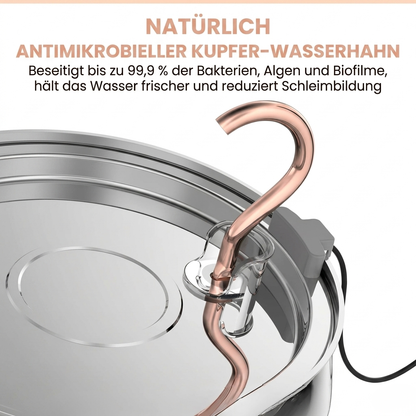 Vital Katzentrinkbrunnen