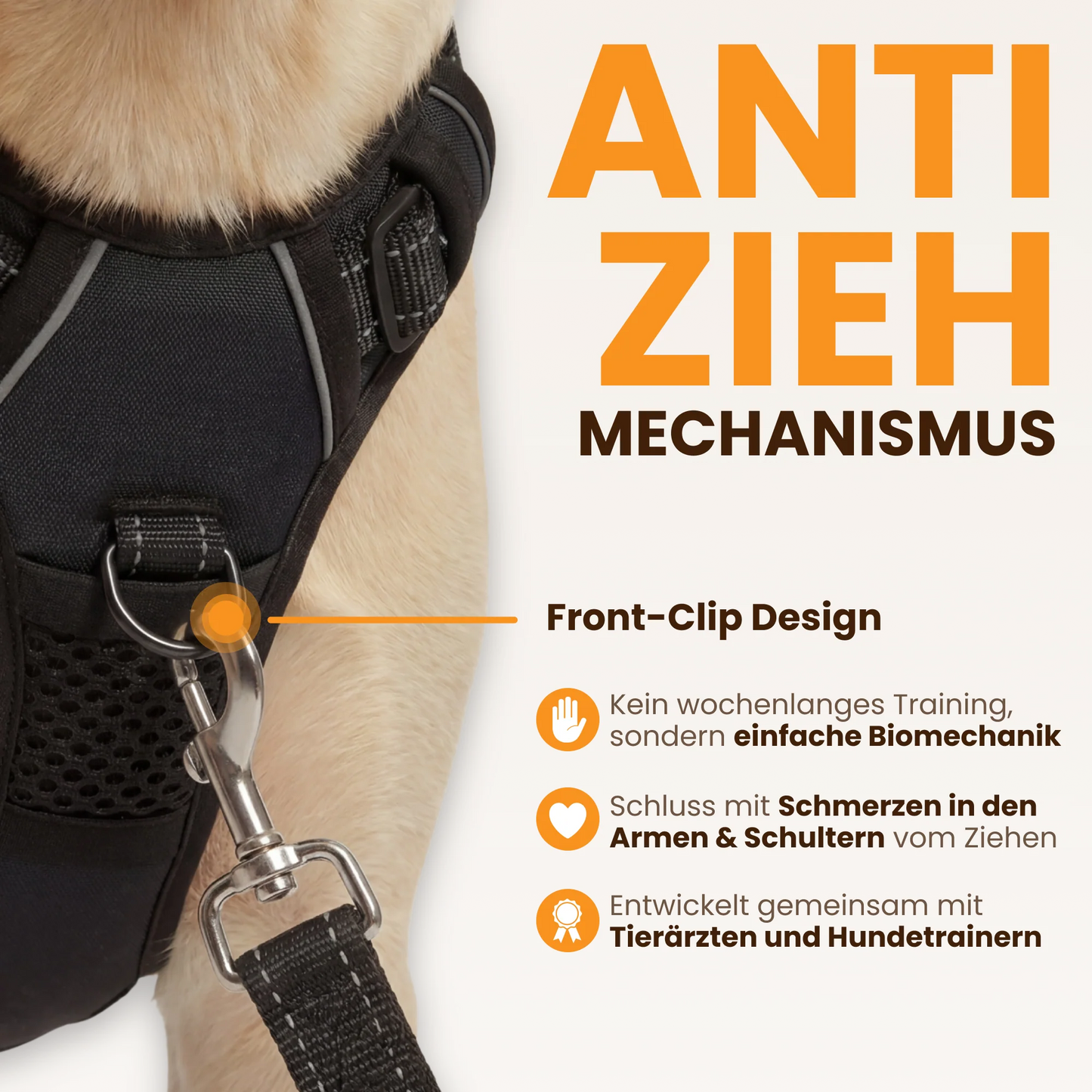 WalkBuddy
