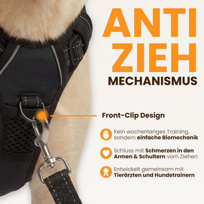 WalkBuddy