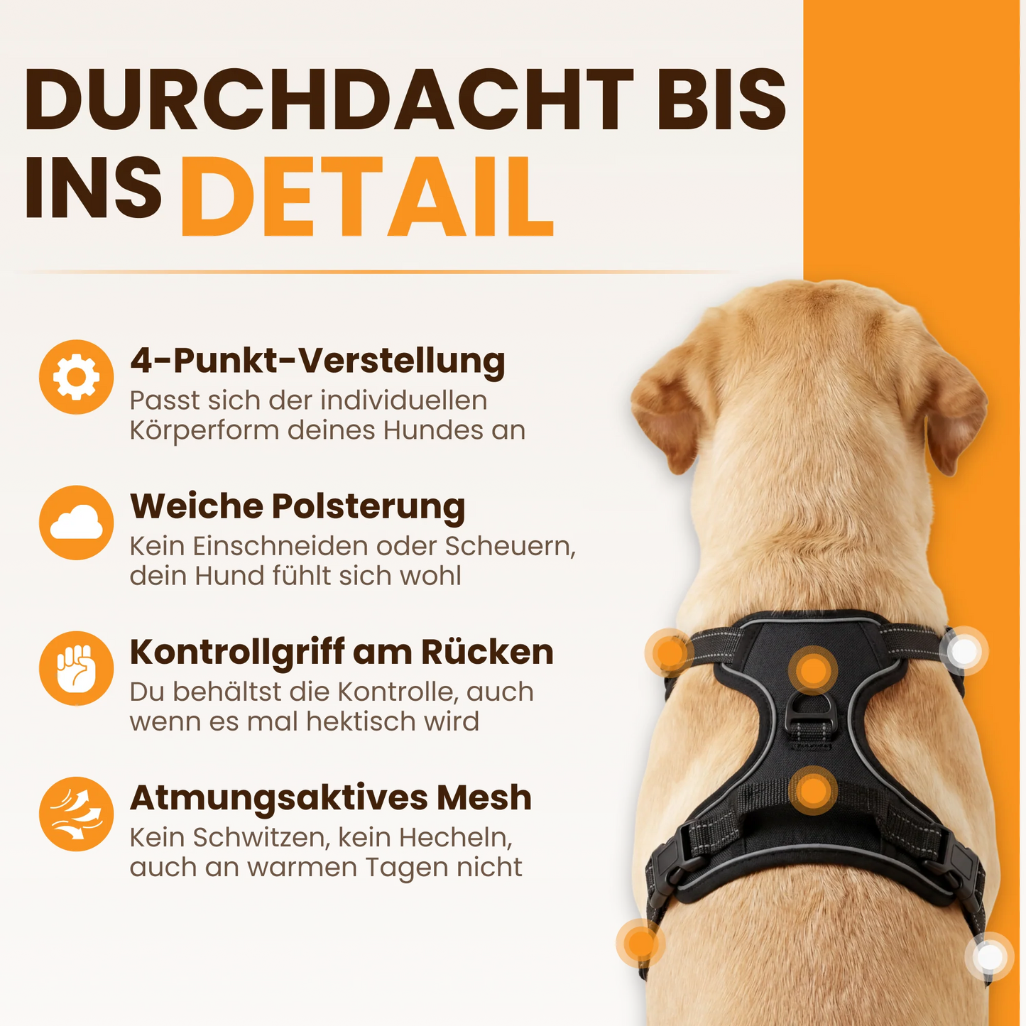 WalkBuddy