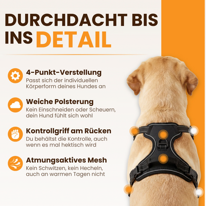 WalkBuddy
