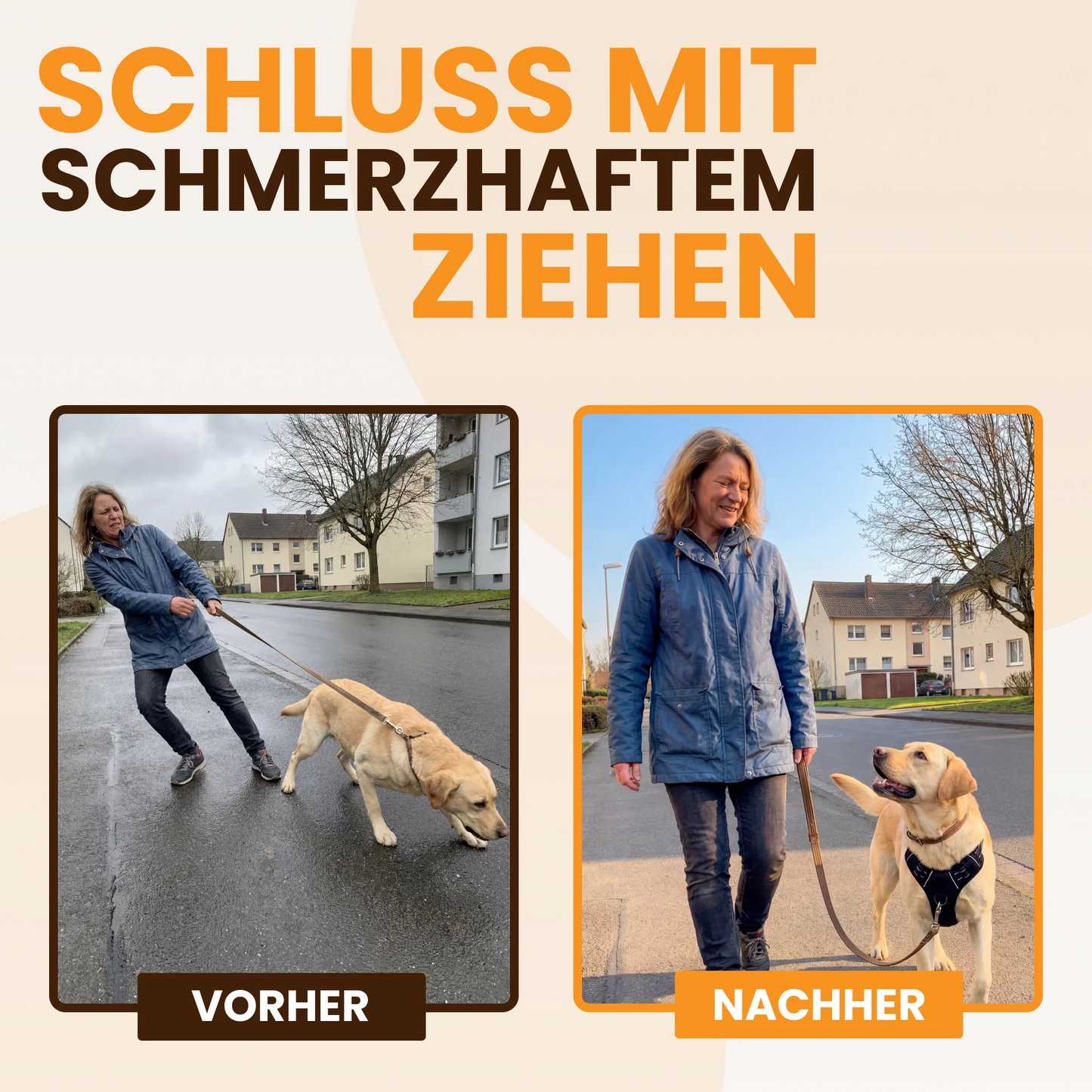 WalkBuddy