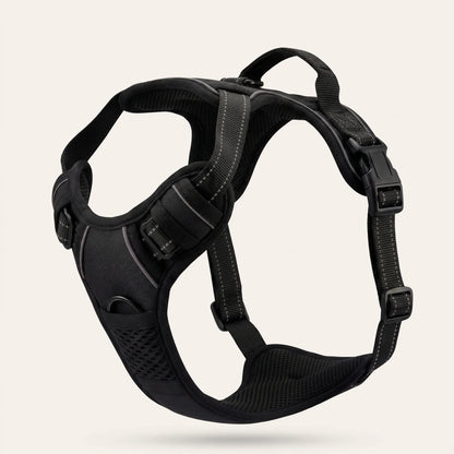 WalkBuddy