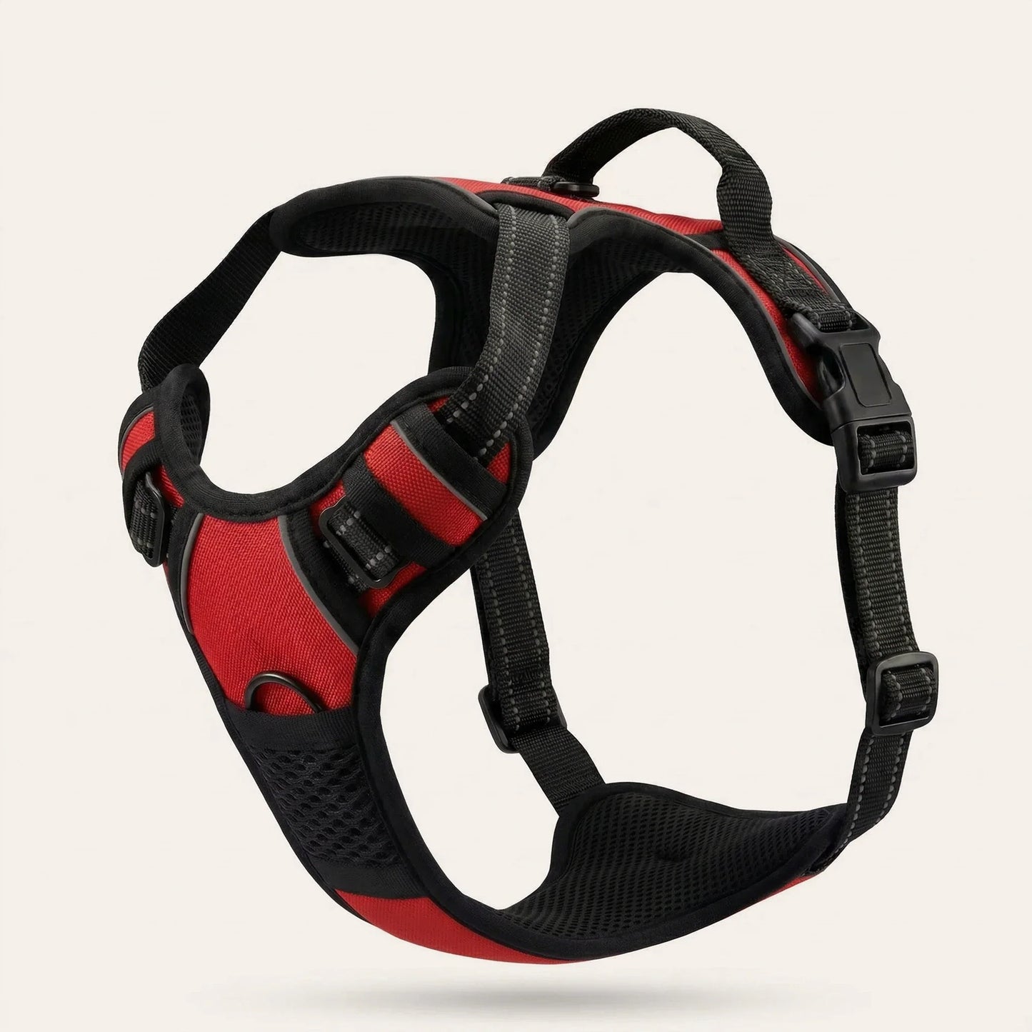 WalkBuddy