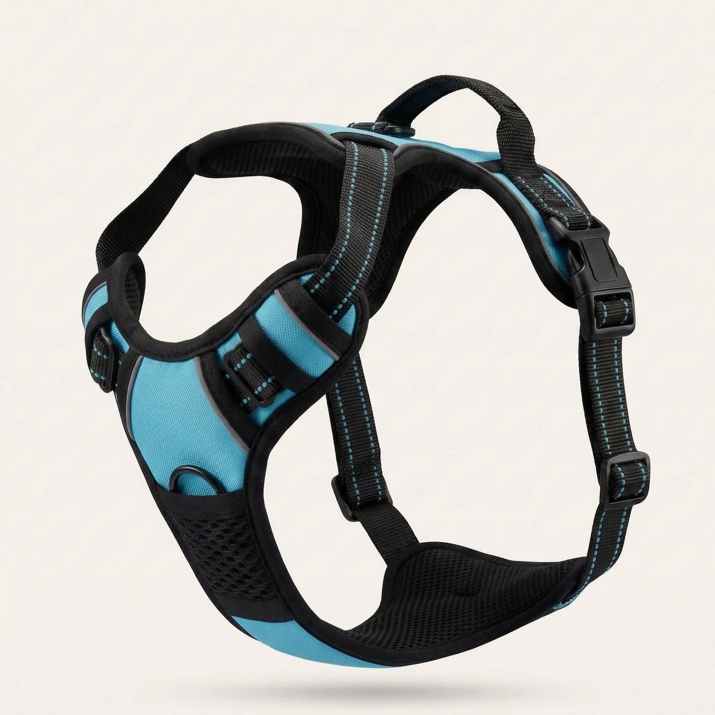 WalkBuddy