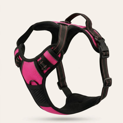WalkBuddy