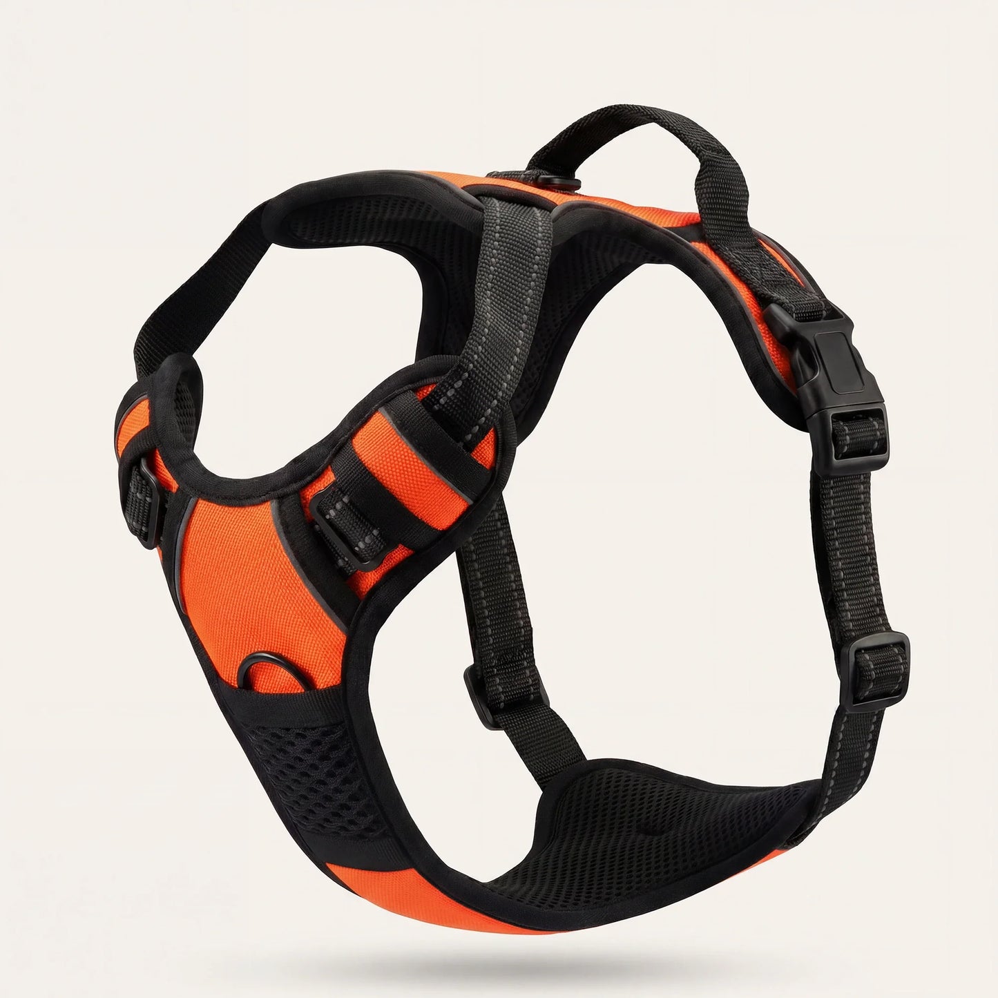WalkBuddy