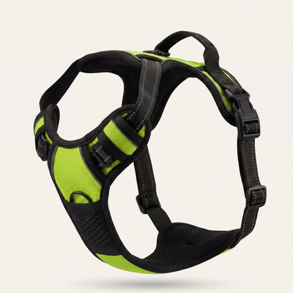 WalkBuddy