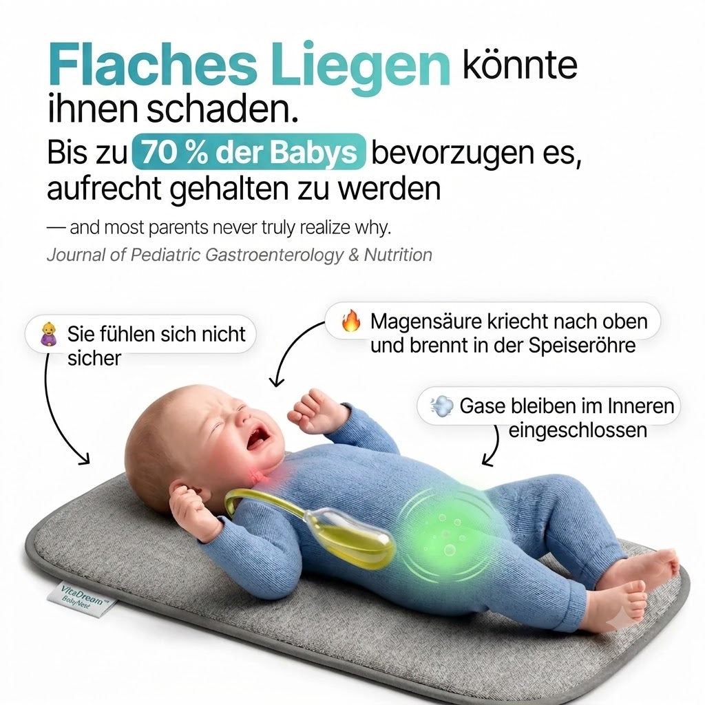 VitaDream™ BabyNest