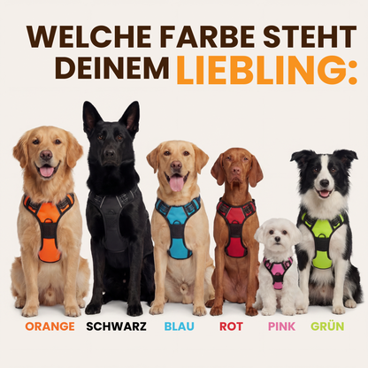 WalkBuddy