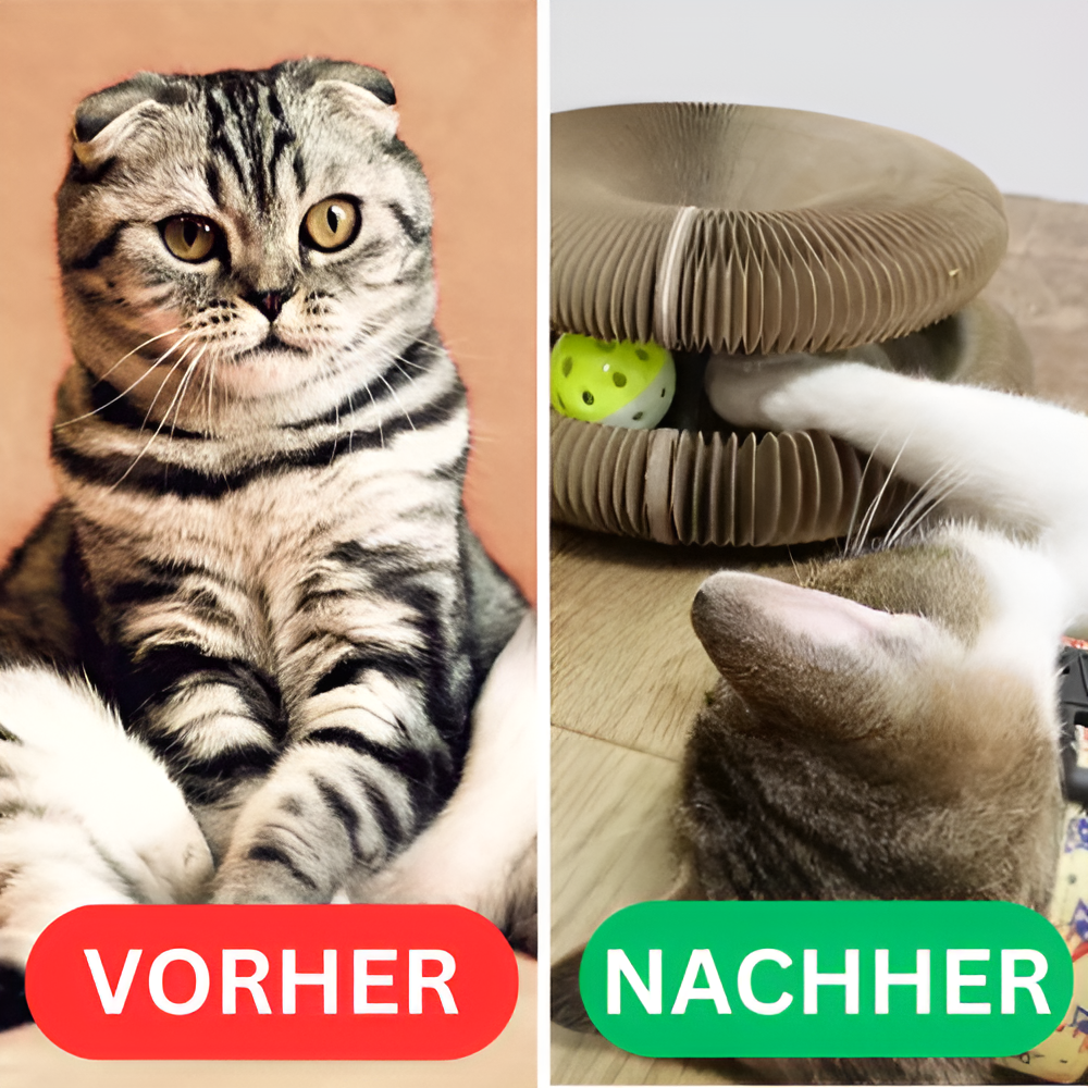 Vita Katzenwirbel™